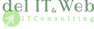 Del IT and Web